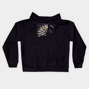 3rd of July Fireworks 6 Kids Hoodie